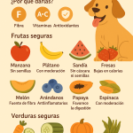 Frutas y verduras para perros seguras y recomendadas, en formato infográfico en español.
