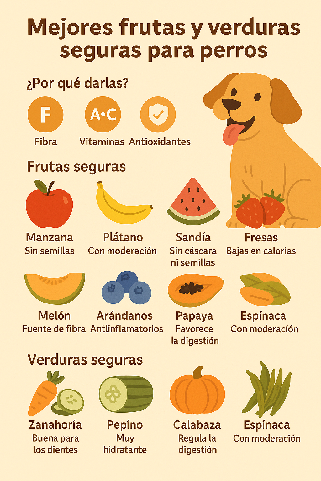 Frutas y verduras para perros seguras y recomendadas, en formato infográfico en español.
